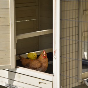 Het nachthok van kippenhok Holiday Large is voorzien van 2 zitstokken