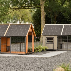 Kippenhok Danielle - leverbaar in 2 prachtige kleuren combinaties