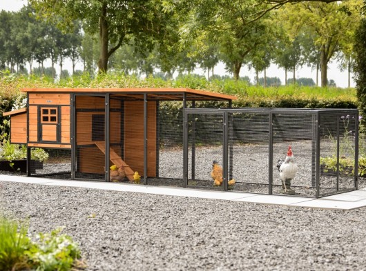 Kippenhok Judy met legnest en aanbouwren · Brown · 416x100x105cm