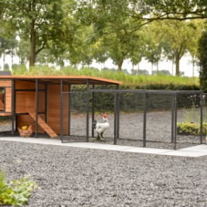 Kippenhok Judy met legnest en aanbouwren