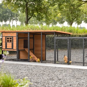 Kippenhok Judy met ren · Brown · 379x100x105cm