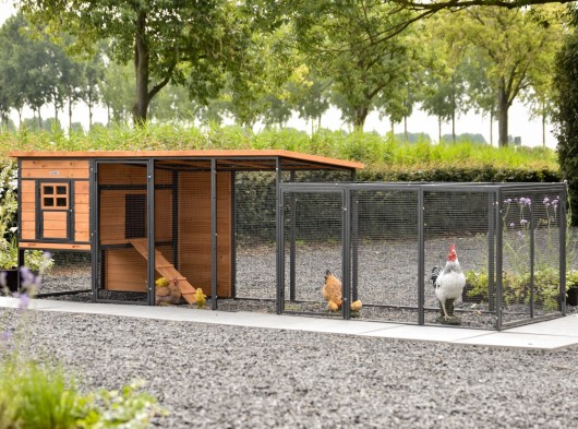 Kippenhok Judy met ren · Brown · 379x100x105cm