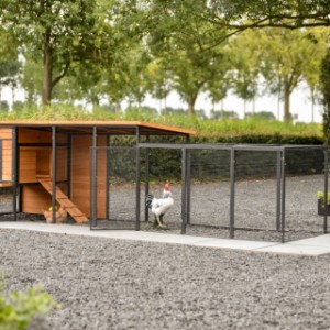 Kippenhok Judy met aanbouwren