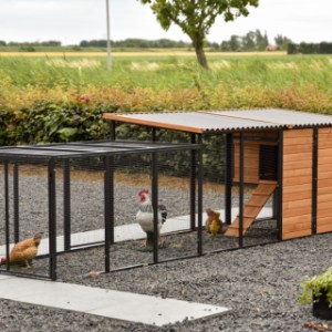 Kippenhok Judy met aanbouwren