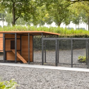 Let op! uitbereiding Judy kan alleen gebruikt worden in combinatie met het hok Judy!