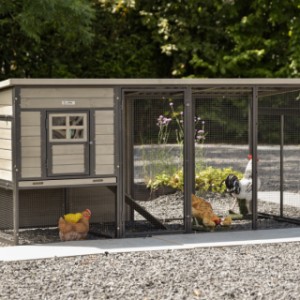 Kippenhok Judy is een aanwinst voor uw tuin
