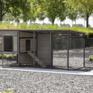 Konijnenhok Judy
