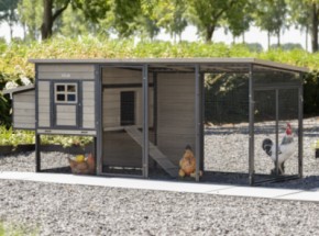 Kippenhok Judy Grey 264x100x105cm