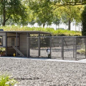 Kippenhok Judy met legnest en aanbouwren