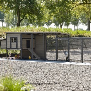 Kippenhok Judy Grey 416x100x105cm