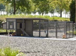 Kippenhok Judy met legnest en aanbouwren · Grey · 416x100x105cm