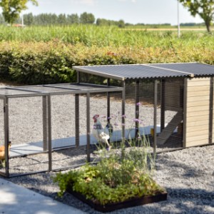 Kippenhok Judy met aanbouwren