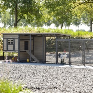 Kippenhok Judy Grey 379x100x105cm