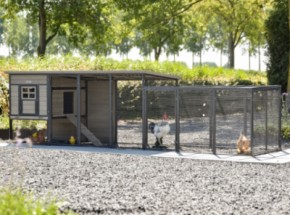 Kippenhok Judy Grey 379x100x105cm