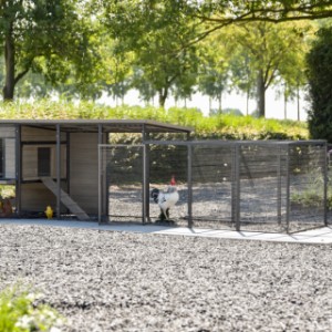 Kippenhok Judy met aanbouwren