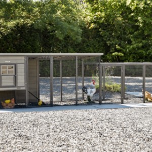 Kippenhok Judy met aanbouwren