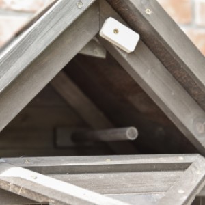 In de nok van wand volière Matty small zit een nachthok met zitstok