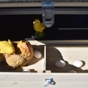 Het legnest van kippenhok Holiday Large is opgesplitst in 2 delen
