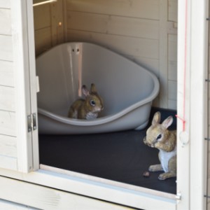 In het nachthok van konijnenhok Holiday large is genoeg plek voor een konijnentoilet