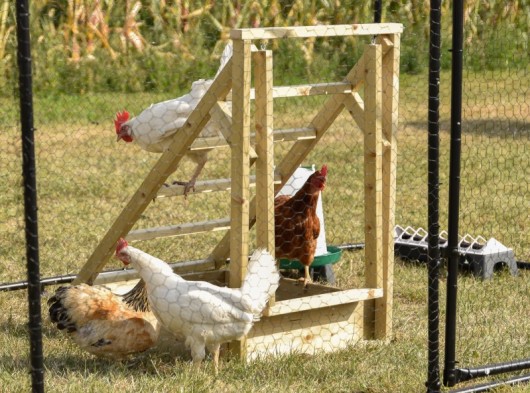 Kippen trap 61x87x90cm