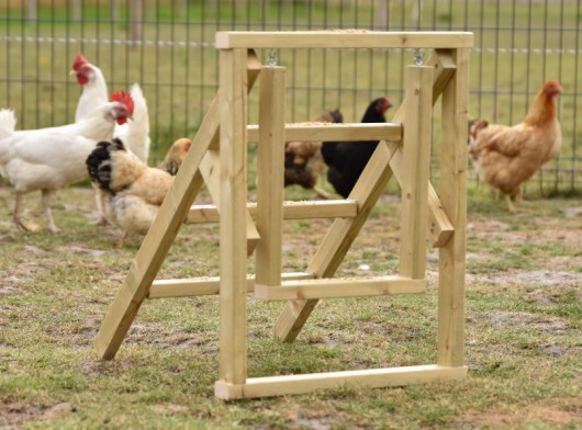 Kippen trap 47x56x59cm