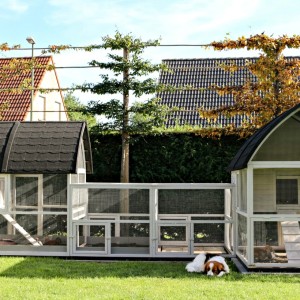 Groot kippenhok Kathedraal Luxe - XXL