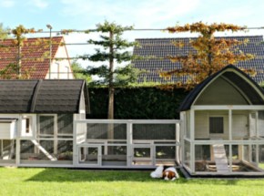 Groot kippenhok Kathedraal Luxe - XXL