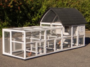 Kippenhok Kathedraal XL met aanbouwrennen en funderingsets 397x174x181cm