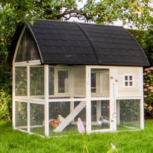 Kippenhok Kathedraal XL Luxe - Extra Large 195x174x181cm