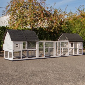 Dierenverblijf Kathedraal Luxe - XL met aanbouwrennen en funderingssets 572x150x157cm