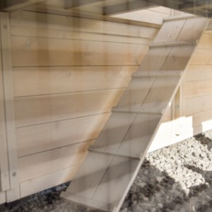 Konijnen kunnen makkelijk naar de bovenste etage lopen via de loopplank