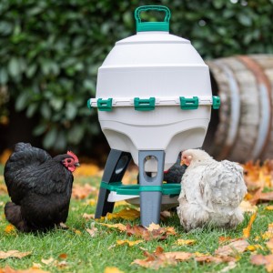Kippen pakket Professional -  Optimus drinksilo 25L
