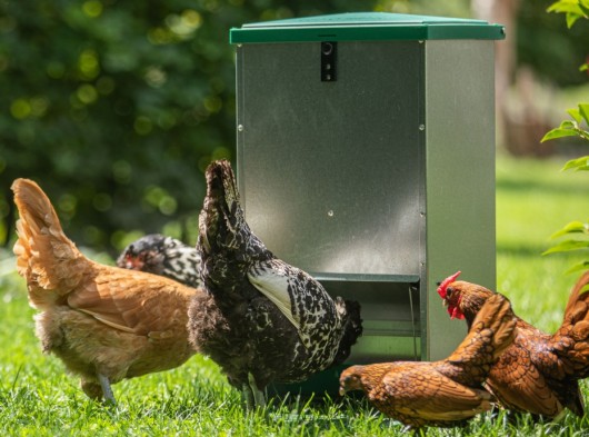 Feedomatic met ratguard 20kg