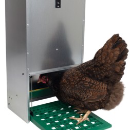 Feedomatic is op gewicht van de kip in te stellen