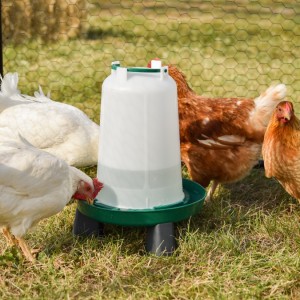 Kippen pakket Start - Drinktoren op pootjes