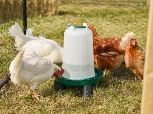 Kippen drinksilo op pootjes · 3ltr Ø23cm x 32,5cm