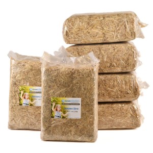 AKTIE ! 6 x zeeuws stro