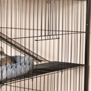 Kattenkooi Nivo heeft 2 schuifluiken om de tunnel te bevestigen