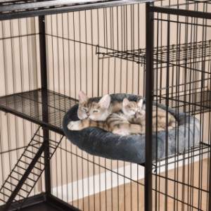 Katten kunnen heerlijk uitrusten in kattenkooi Nivo