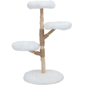 Katten klimboom Prunus Wit 85cm