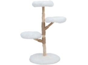 Katten klimboom Prunus Wit 85cm