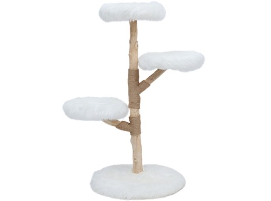 Katten klimboom Prunus Wit 85cm