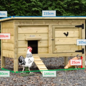 Verschillende afmetingen van het kippenhok Eggy