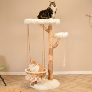 Katten klimboom Quercus 151cm hoog