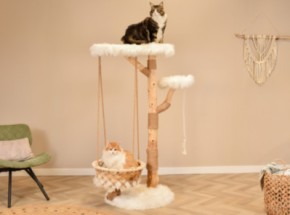 Katten klimboom Quercus 151cm hoog