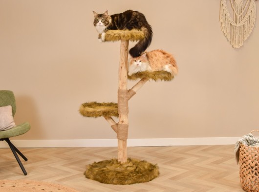 Katten klimboom Fagus 129cm