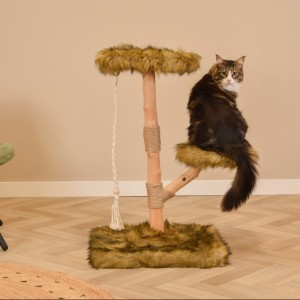 Katten klimboom Prunus 85cm