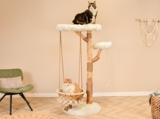 Katten klimboom Quercus 151cm hoog