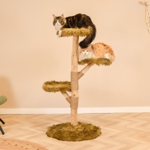 Katten klimboom Fagus 129cm