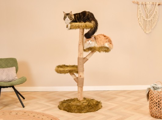 Katten klimboom Fagus 129cm
